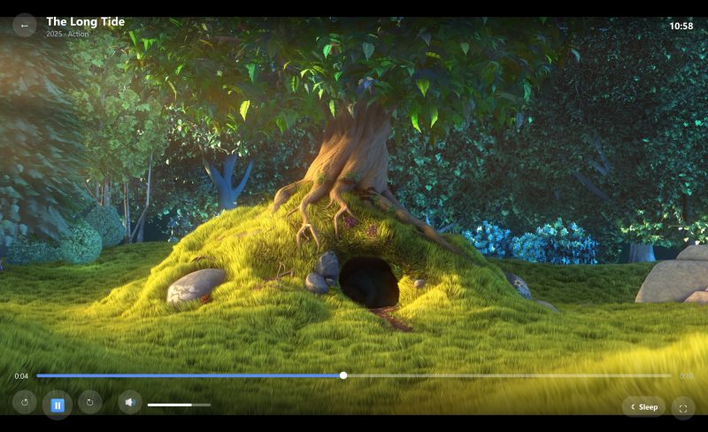 Full-window player with controls over the video